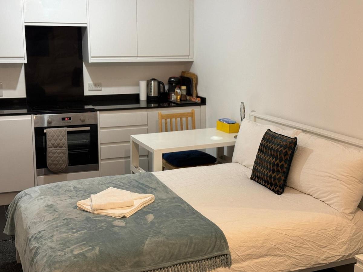 Euston Station Flat2 Londra
